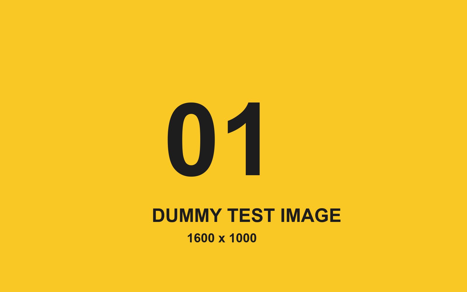 Dummy test image number 1