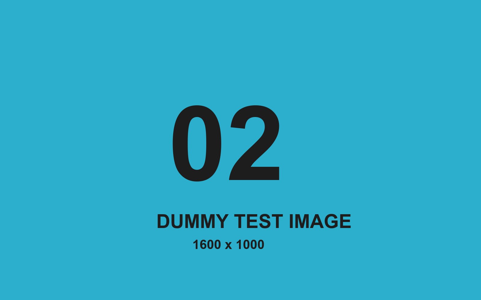 Dummy test image number 2