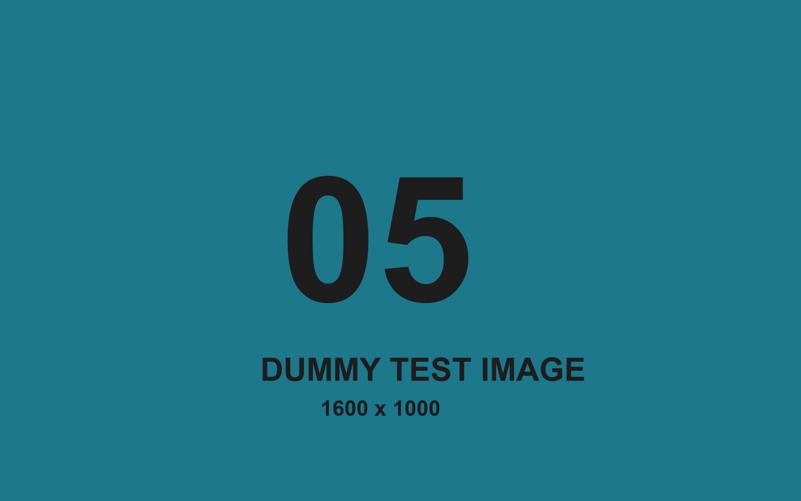 Dummy test image number 5