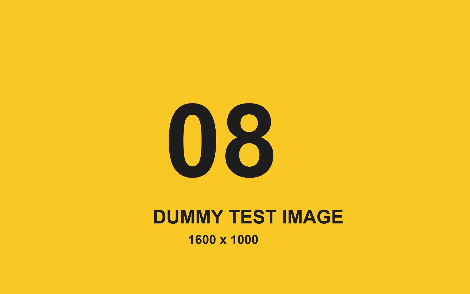 Dummy test image number 8