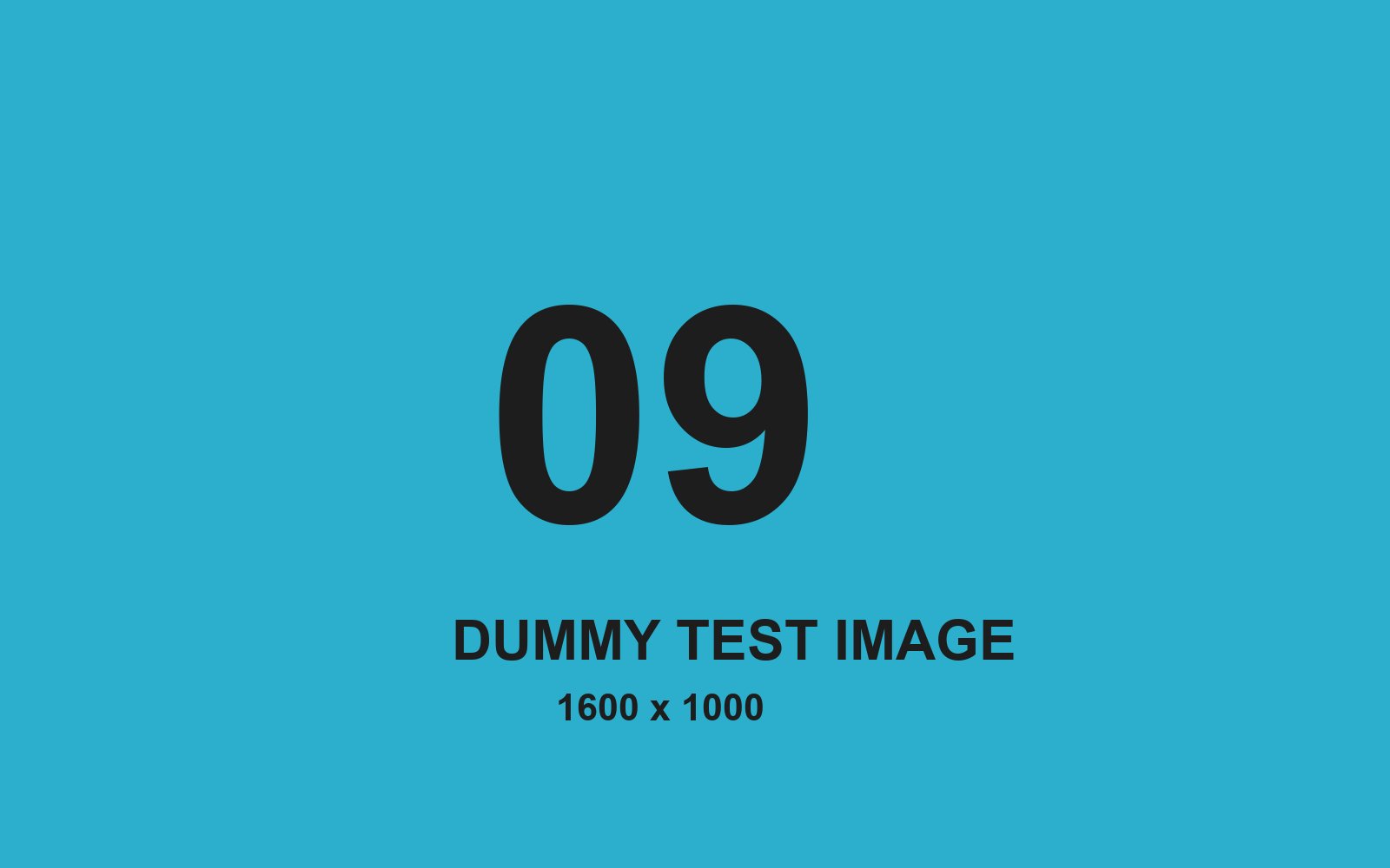 Dummy test image number 9